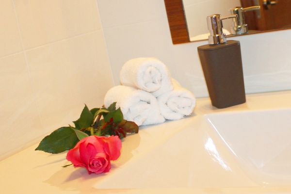 Villa Aina boutique Hotel (Lasko)